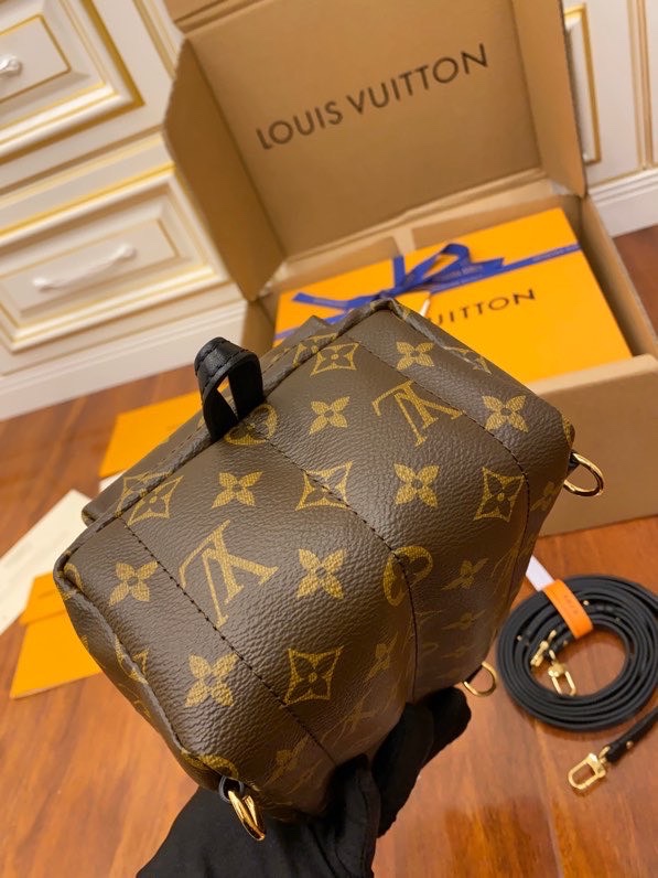 LV Backpacks